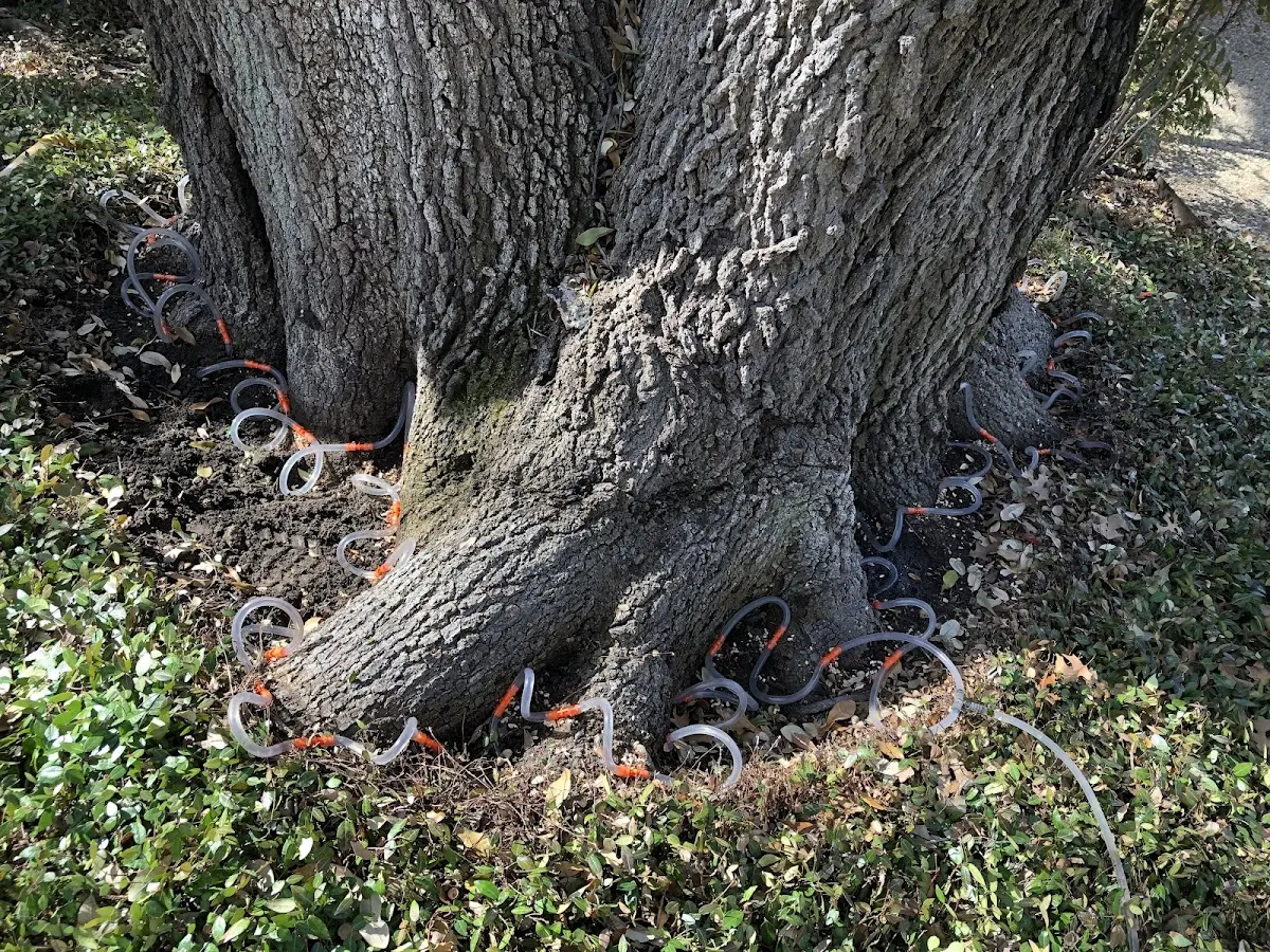 Detailed Shrub and Hedge Trimming job site in Levering